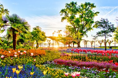 Fotograf Konstanz, Konstanz