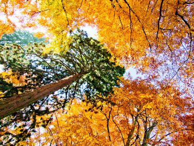 Landschaftsfotografie, Herbst