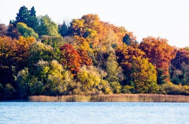 Fotograf Mainau, Herbstimpression